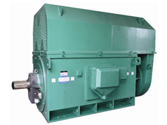 Y5009-6/900KWYKK系列高压电机