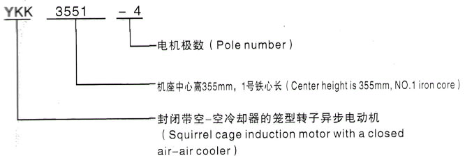 YKK系列(H355-1000)高压Y5009-6/900KW三相异步电机西安泰富西玛电机型号说明