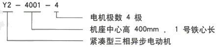 YR系列(H355-1000)高压Y5009-6/900KW三相异步电机西安西玛电机型号说明